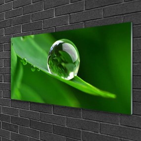 Obraz na skle List voda kvapka rastlina 125x50 cm