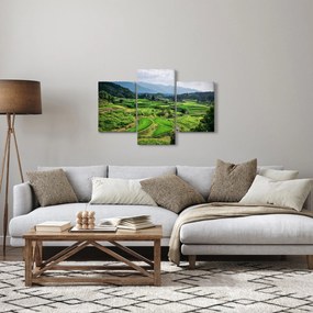 Obraz ryžových polí (90x60 cm)