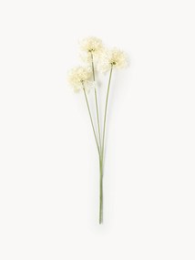 Kvetinová dekorácia Allium