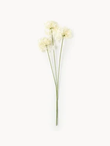 Kvetinová dekorácia Allium