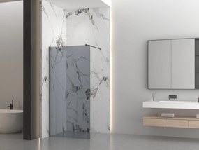 Erga Paris, sprchová zástena Walk-In 150x200 cm, 8mm šedé sklo, grafitový profil, ERG-V02-PARIS-150x200-GR-GG
