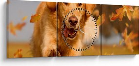 Obraz - Zlatý retriever (s hodinami) (90x30 cm)
