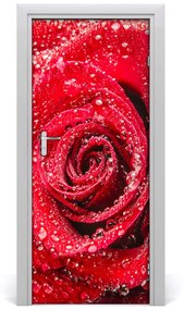 Fototapeta samolepiace červená ruža 75x205 cm