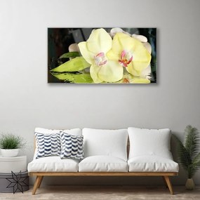 Skleneny obraz Okvetné plátky orchidea 125x50 cm