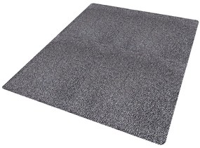 Hanse Home Collection koberce Rohožka Clean & Go 105349 Silver gray Beige Black – na von aj na doma - 50x150 cm