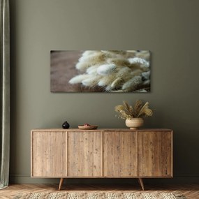 Obraz - Zajačí chvostík (120x50 cm)