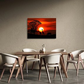 Sklenený obraz - Siluety zvierat pri západe slnka (70x50 cm)