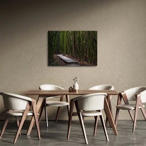 Obraz - Medzi bambusy (70x50 cm)
