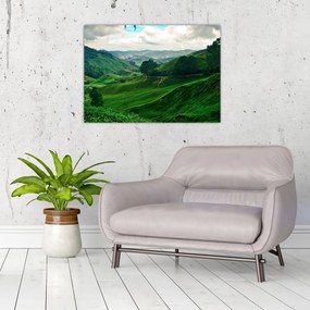 Obraz - Čajové plantáže v Malajzii (70x50 cm)