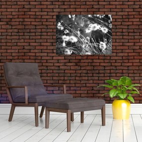Obraz - Pavučina na lúke (70x50 cm)