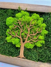 Obraz Strom z machu 20x30 cm