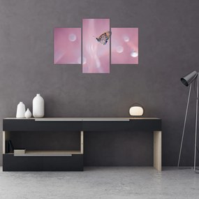 Obraz - Motýľ (90x60 cm)