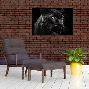 Obraz - Čierny panter (90x60 cm)