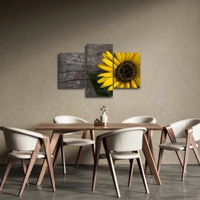 Obraz - Kvet slnečnice (90x60 cm)