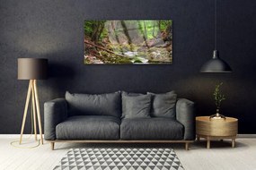Skleneny obraz Les mech príroda 125x50 cm