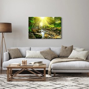 Obraz rieky v zelenom lese (90x60 cm)