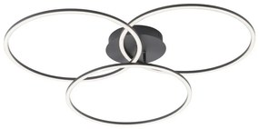 Leuchten Direkt 14539-18 - LED Stmievateľné svietidlo IVANKA 3xLED/12W/230V