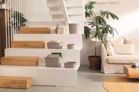 Softex XS Úložný box - 3 L, zelená