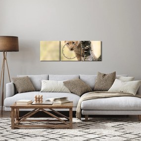 Obraz levíčaťa (s hodinami) (90x30 cm)
