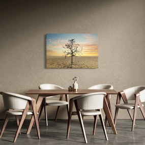 Obraz - Strom na púšti (90x60 cm)