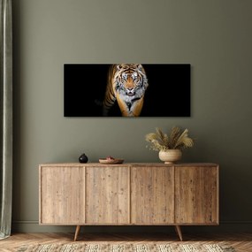 Obraz - Tiger (120x50 cm)