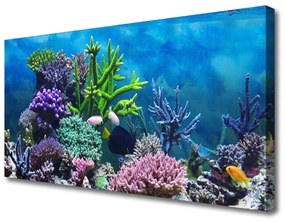 Obraz Canvas Akvárium rybičky pod vodou 120x60 cm