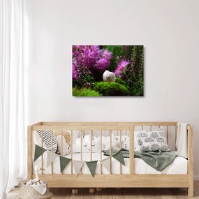 Sklenený obraz - Slimáková ulita (70x50 cm)