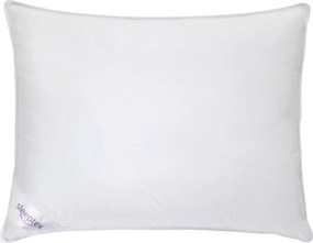 XXXLutz VANKÚŠ, 70/90 cm Sleeptex - Prikrývky & vankúše - 006857002901