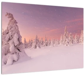 Sklenený obraz - Stromy pod snehovou prikrývkou (70x50 cm)