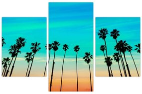 Obraz - Kalifornia (90x60 cm)