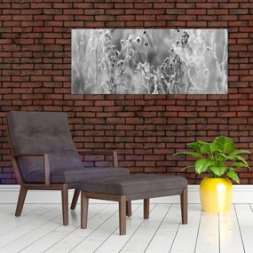 Obraz - Divoká lúka (120x50 cm)