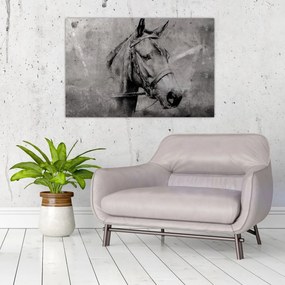Obraz - Portrét koňa (90x60 cm)