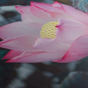Obraz ružovej kvetiny (90x60 cm)