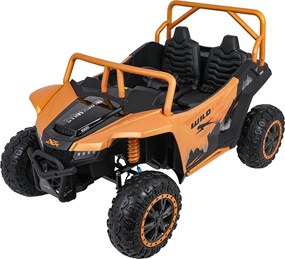 Ramiz Buggy Arctic Cat WILDCAT XX zlaté