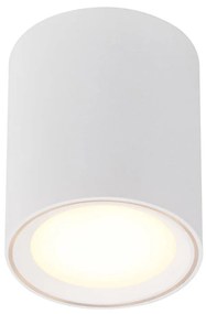 FALLON 12 | stropné LED svietidlo s funkciou MOODMAKER Farba: Biela