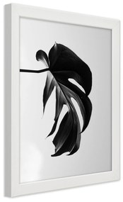 Gario Plagát Čierna a biela monstera list Farba rámu: Hnedá, Rozmery: 30 x 45 cm