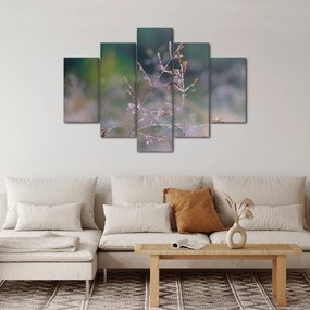 Obraz - Detail traviny (150x105 cm)