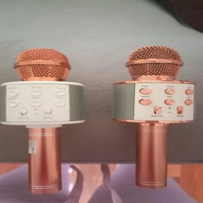 WS 858 BEZDRÔTOVÝ MIKROFÓN KARAOKE zlatá