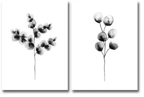 Sada 2 obrazov Wallity Galilo