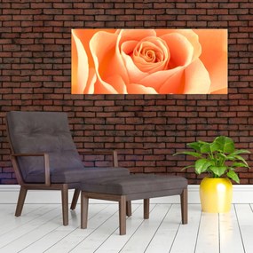 Obraz - Ruža, marhuľová farba (120x50 cm)