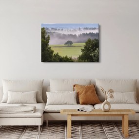 Obraz lúky so stromom (90x60 cm)