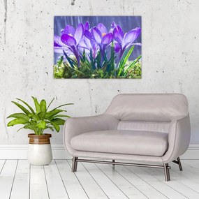 Sklenený obraz kvetov v daždi (70x50 cm)