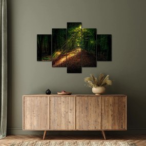 Obraz lesnej cesty (150x105 cm)