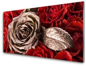 Nástenný panel  Ruže kvety 100x50 cm