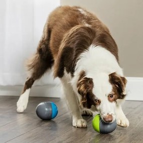 PetSafe® Ricochet Elektronická hračka pre psov