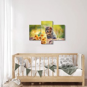 Obraz mačiatka pozerajúce sa na kvetinu (90x60 cm)