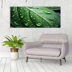 Obraz - Detail listu po daždi (120x50 cm)