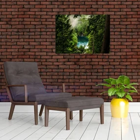 Obraz - Priezor medzi stromami (70x50 cm)