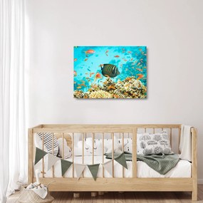 Sklenený obraz podmorského sveta (70x50 cm)