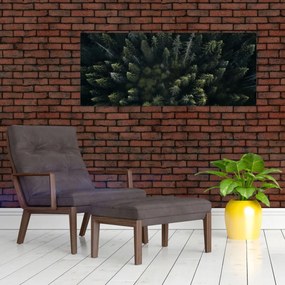 Obraz - Les (120x50 cm)